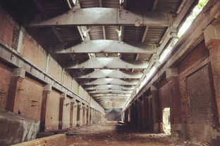 沙區(qū)工業(yè)遺址之旅 在銹蝕與新生中尋找城市記憶